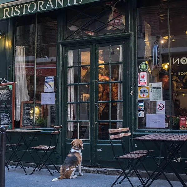 OpenTable Costs for Restaurants